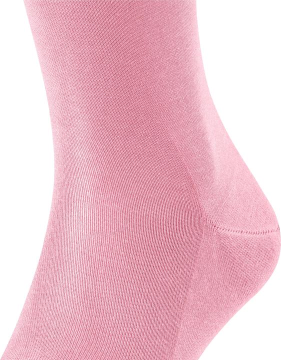 Image du produit Falke Tiago KH (45 - 46)