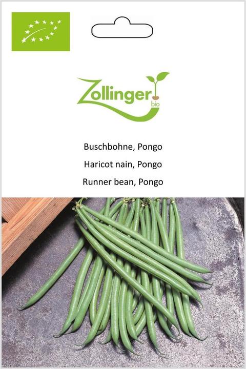 Immagine prodotto Zollinger Bio Fagiolo di bosco, Pongo (Semi di piante)