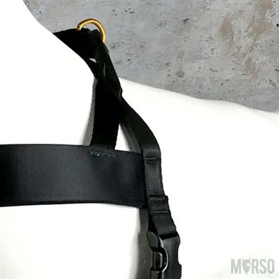 Immagine prodotto MORSO Caviale d'oro norvegese Hondentuig Gerecycled Goud (Cane, Sport cane)