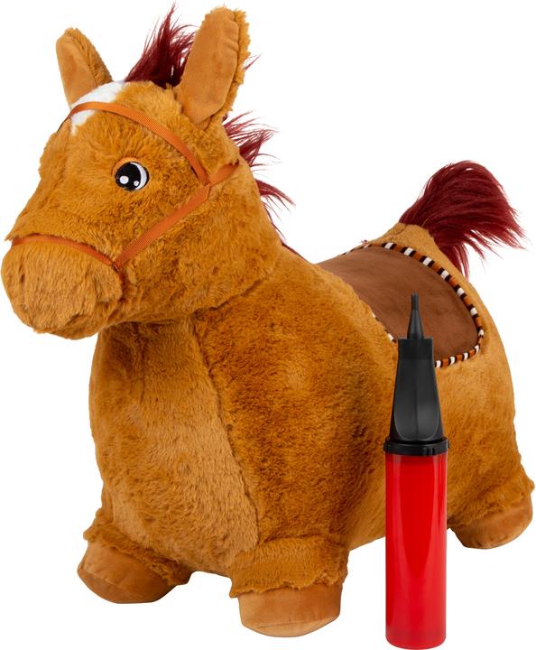 Actual product image small foot Bouncy horse