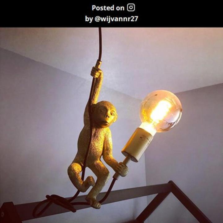 Actual product image Lucide Extravaganza Chimp (E27)