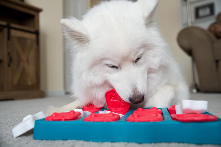 Produktbild Nina Ottosson Dog Brick (Intelligenzspielzeug Hund)