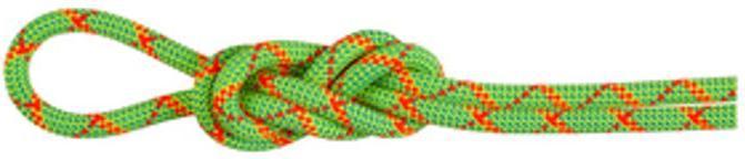 Immagine prodotto Mammut 8.0 Alpine Core Protect Corda asciutta (40 m)