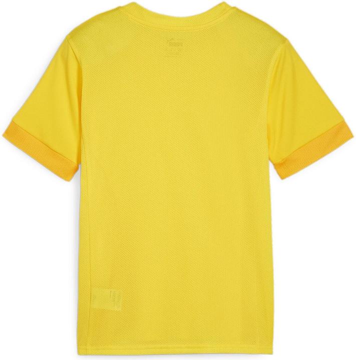 Actual product image Puma teamGOAL Matchday Jersey jr (116)