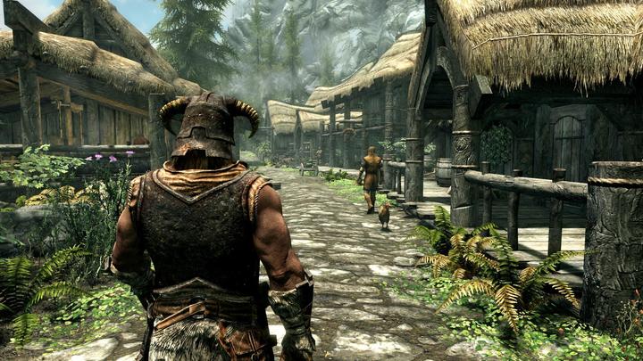 Image du produit Bethesda The Elder Scrolls V : Skyrim (Switch, Multilingue)