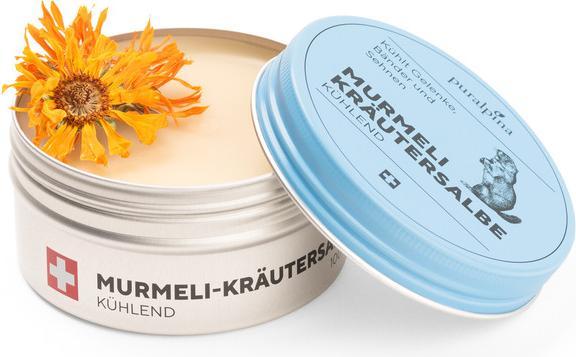 Produktbild Puralpina Murmeli-Kräutersalbe (1 x, 100 ml, 110 g)