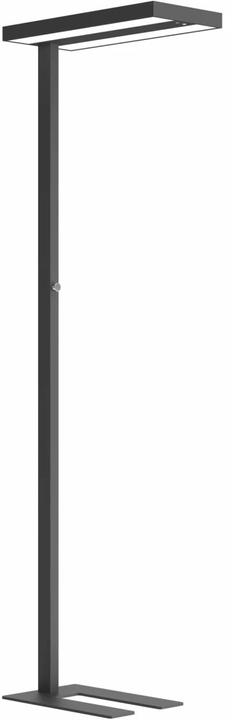 Contini LED office floor lamp dimmable anthracite (4600 lm)