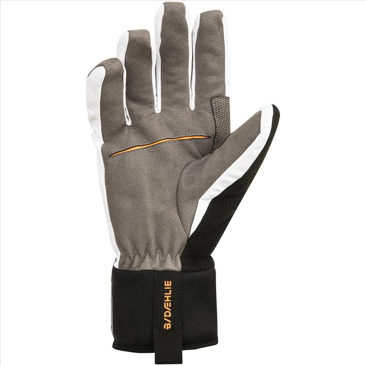 Daehlie Glove Active