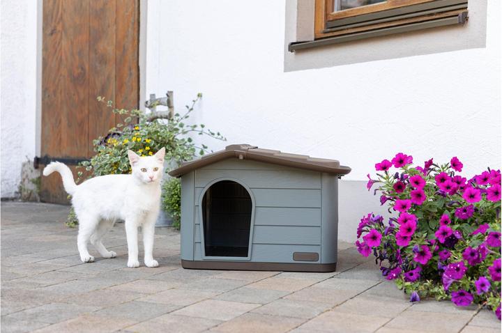Immagine prodotto Kerbl 81341 Casetta per gatti Paola Eco, aspetto mediterraneo, plastica riciclata, grigio-verde-marrone (Gatto)
