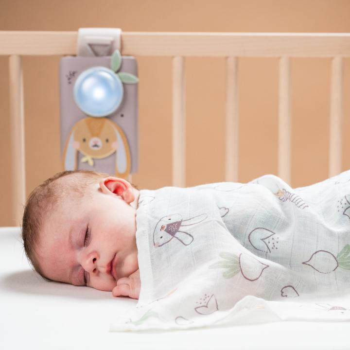 Produktbild Taf Toys Beruhigendes Babyset Hase