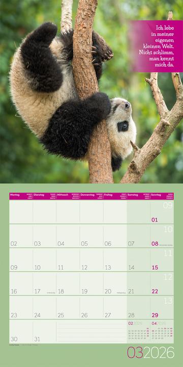Produktbild Keep Smiling! Kalender 2026 - 30x30 (30 x 30 cm, Deutsch, Englisch, Französisch)