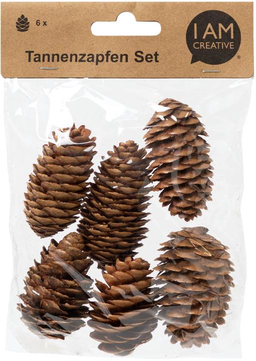 Produktbild I Am Creative Tannenzapfen Set