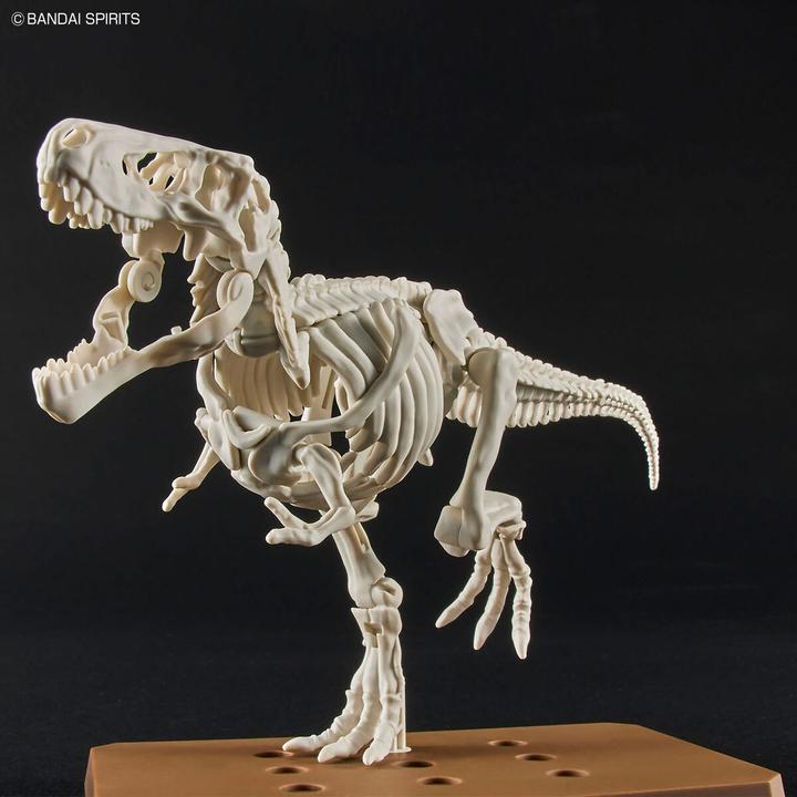 Produktbild Bandai DINOSAUR - New Dinosaur Plastic Tyrannosaurus (Tentative) - Model Kit