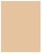 Produktbild Erborian Super BB Nude (Nude)