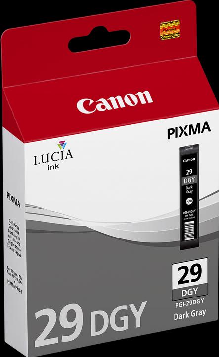Immagine prodotto Canon Pgi-29dgy (DGY)