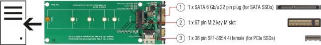 Produktbild Delock Konverter U.2 SFF-8654 oder SATA zu 1 x M.2 Key M Slot
