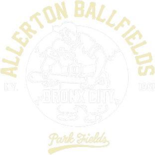 Actual product image Park Fields Unisex Adult Bronx Hoodie (XXL)