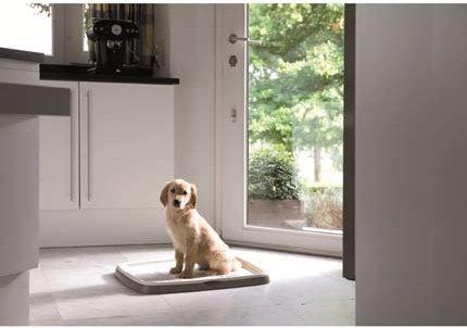 Actual product image Savic Puppy Trainer Starter Kit (Dog)