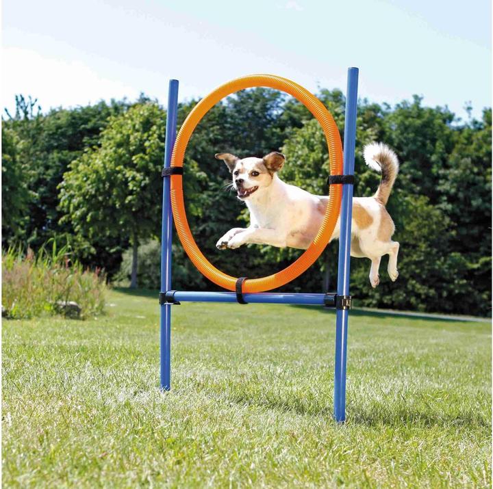 Produktbild Trixie Dog Activity Agility Ring (Agility)
