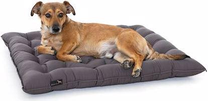 Produktbild Pointer Hundekissen Urban (Hund)