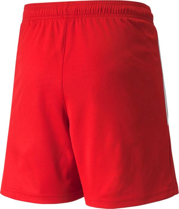Image du produit Puma short teamLIGA Jr-704931 (164)