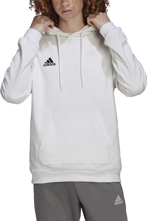 Actual product image adidas Entrada 22 hoodie men (M)