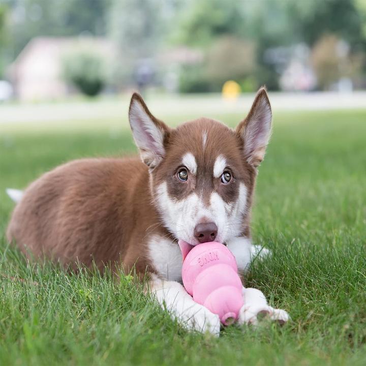 Produktbild KONG Puppy (Welpenspielzeug)