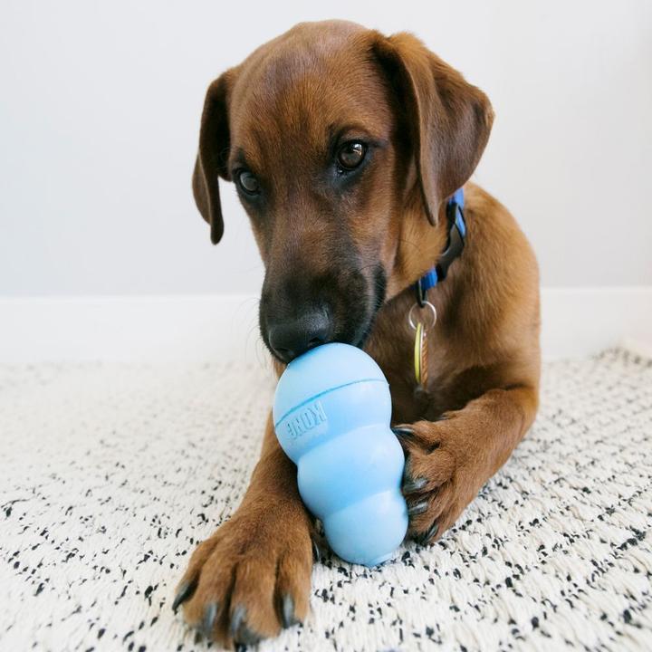 Produktbild KONG Puppy (Welpenspielzeug)