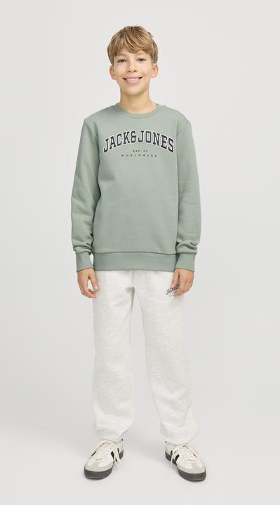 Actual product image Jack & Jones Jjecaleb Varsity Sweat Crew Neck Sn Jnr (176)
