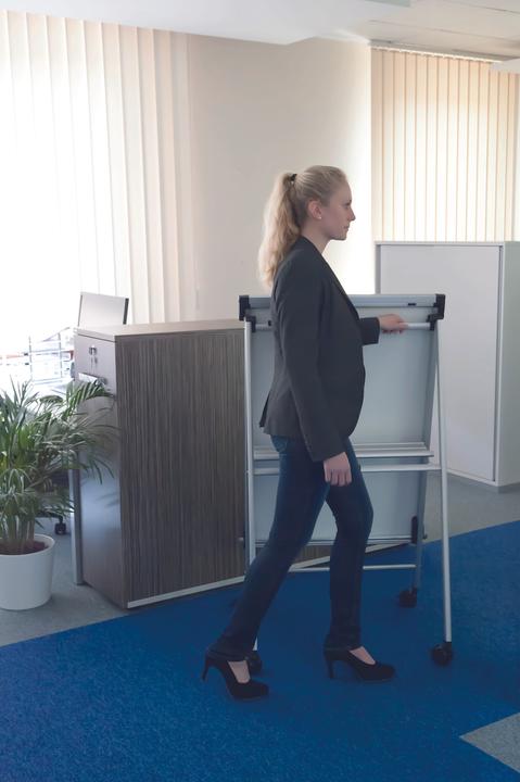 Produktbild Maul Flipchart MAULpro silber (69 x 100.5 cm)