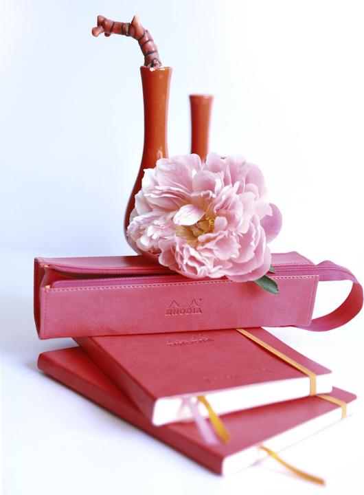 Actual product image Rhodia Hard case with zipper