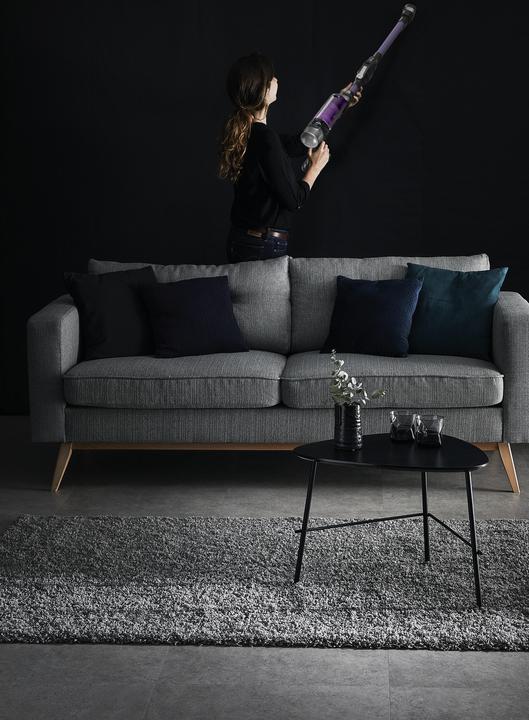 Image du produit Rowenta X-Force Flex 9.60 RH2039