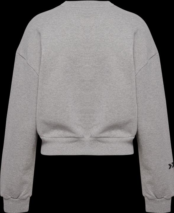 Actual product image hummel Hmllgc Dacia Sweatshirt (M)