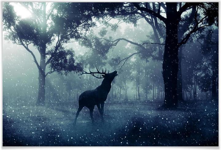 Actual product image Trenddeko Deer in morning forest (100 x 70 cm)