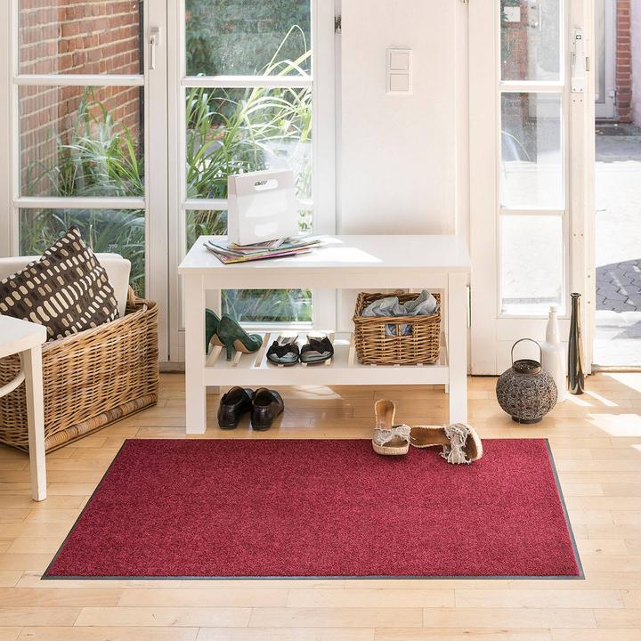 Immagine prodotto Salonloewe Salon Lion Uni Zerbino (75 x 120 cm)