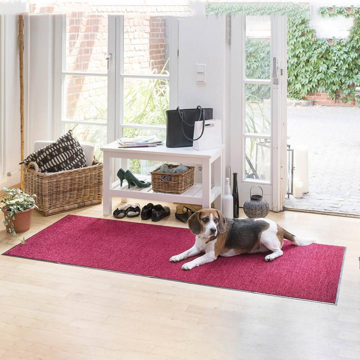 Image du produit Salonloewe Paillasson Salonlöwe Uni (60 x 180 cm)