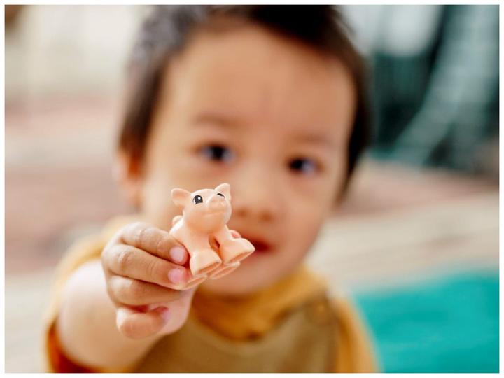 Actual product image LEGO Animal care on the farm (10949)