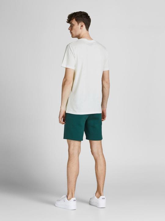 Actual product image Jack & Jones Magazines (L)