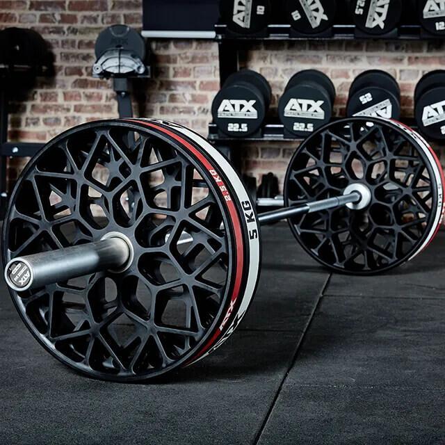 Image du produit ATX Hantelscheibe -Technikscheibe - Abwurftraining (2 x 2,5 kg)