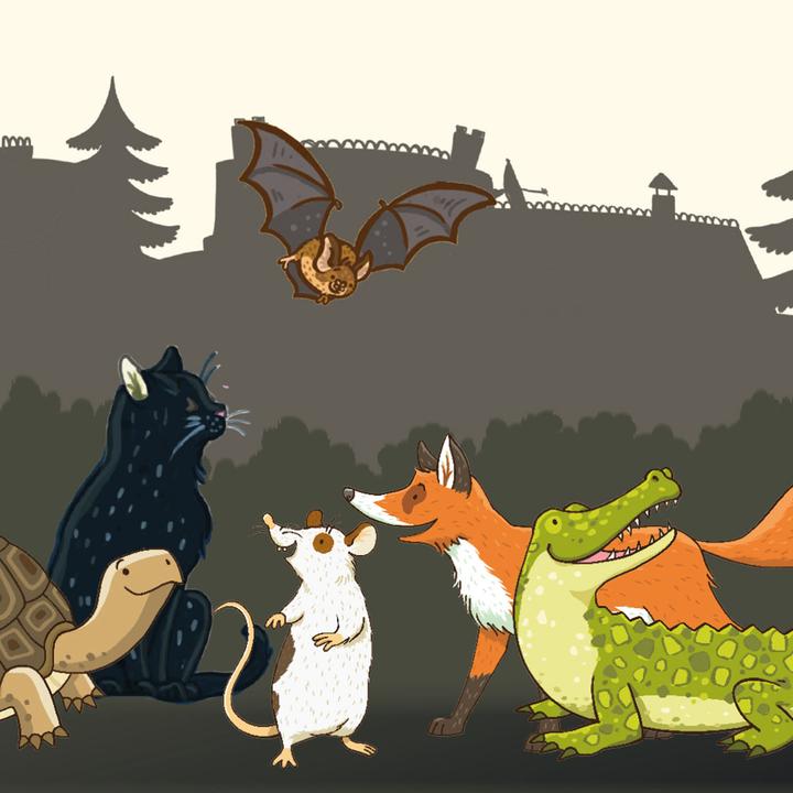 Actual product image Kosmos The school of the magic animals (German)