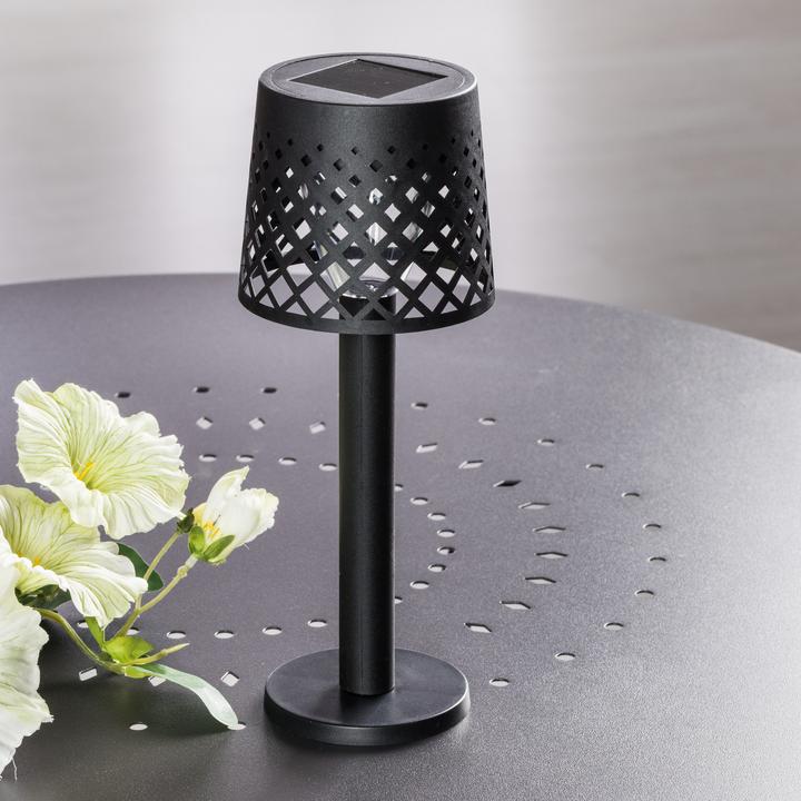 Actual product image GuGus Solar