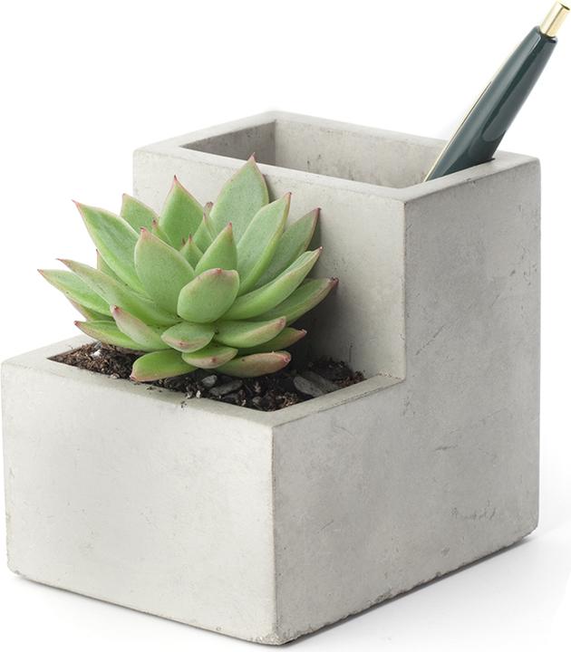 Actual product image Kikkerland Concrete Desktop Planter