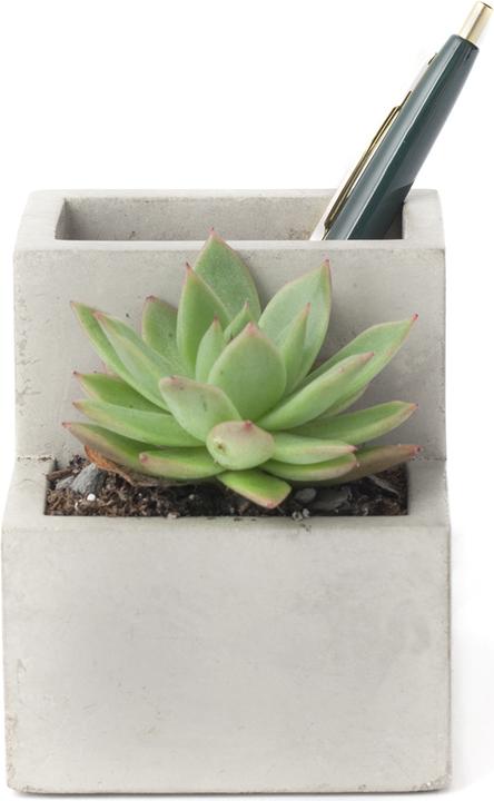 Actual product image Kikkerland Concrete Desktop Planter