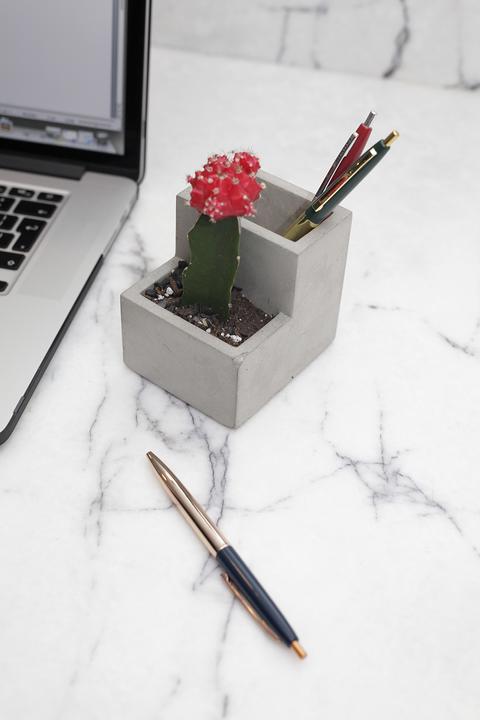 Actual product image Kikkerland Concrete Desktop Planter
