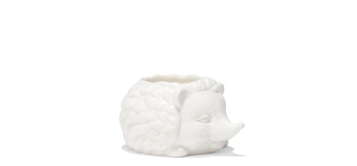 Kikkerland Prickles Le Hérisson Jardinière (9.30 cm)