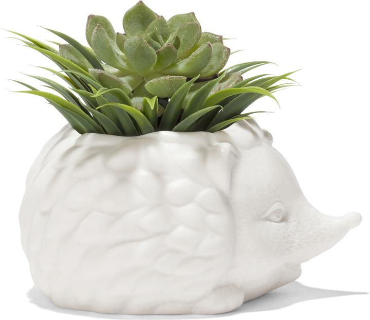 Actual product image Kikkerland Prickles The Hedgehog Planter (9.30 cm)