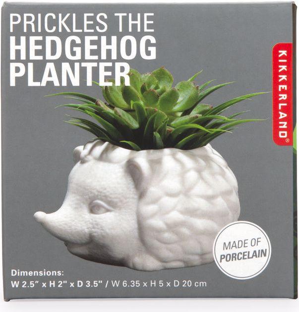 Actual product image Kikkerland Prickles The Hedgehog Planter (9.30 cm)
