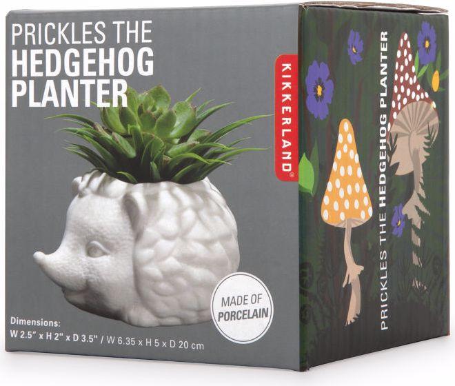 Actual product image Kikkerland Prickles The Hedgehog Planter (9.30 cm)