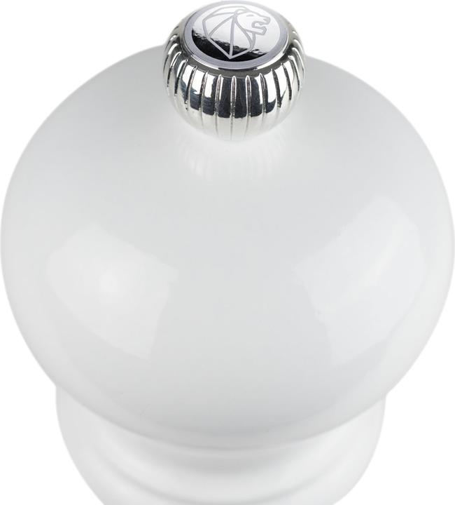 Actual product image Peugeot Paris (Salt)