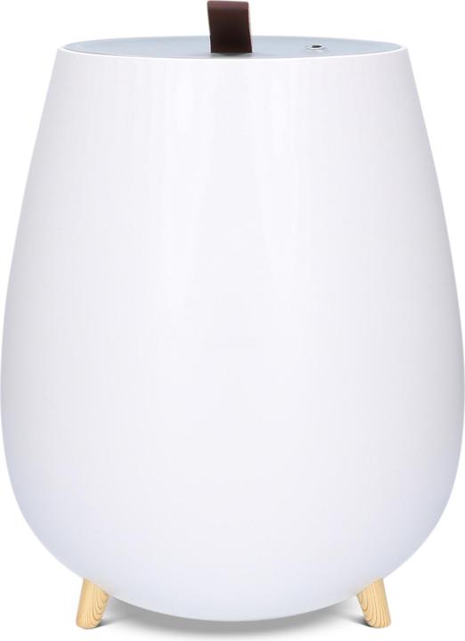 Duux DXHU15 Tag Ultrasonic (30 m²)